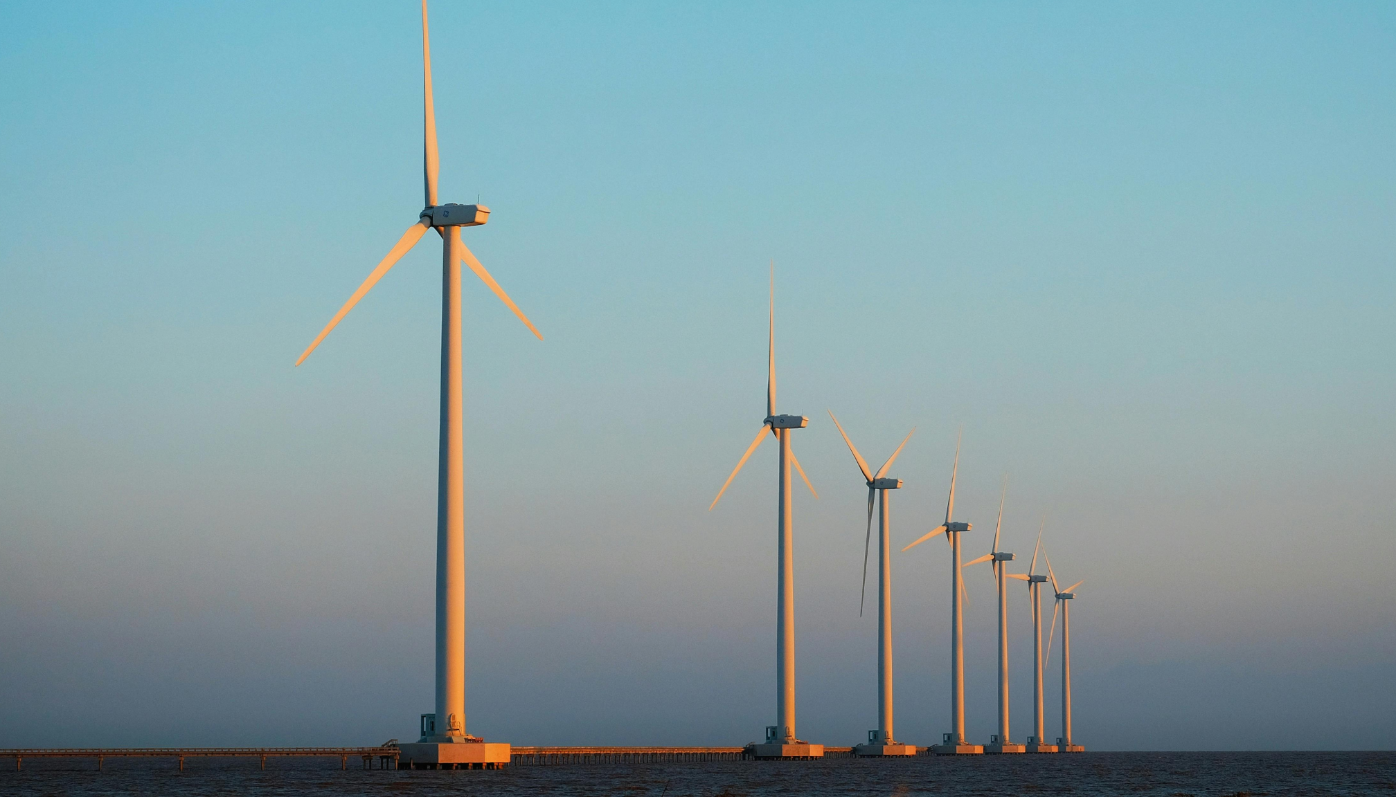 Thắng-Nhật Trần (Pexels)